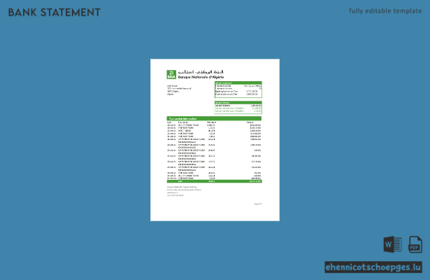 Beispiel-Excel-Vorschau eines Kontoauszugs der algerischen Nationalbank (BNA).